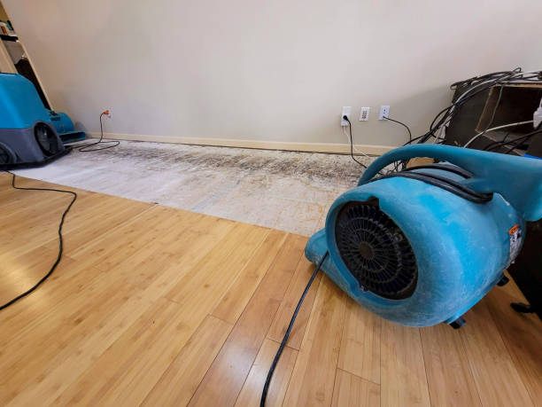 Professional Basement Flood Cleanup technician working in Naches, WA
